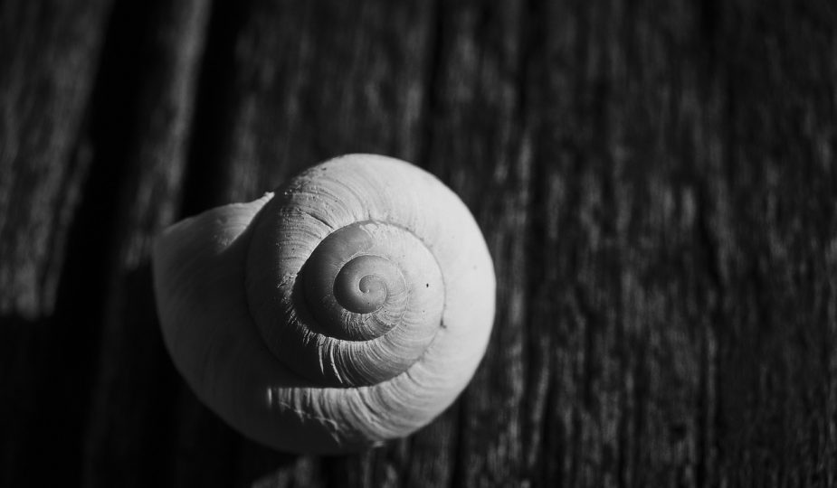 entdecken sie den komfort ihrer komfortzone! erfahren sie, wie sie ihre grenzen erweitern und neue herausforderungen meistern können, während sie sich in einer unterstützenden umgebung wohlfühlen.