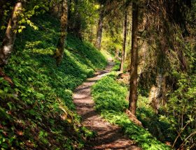 entdecken sie atemberaubende wanderwege inmitten der natur. erleben sie unvergessliche abenteuer und genießen sie die schönheit der landschaft auf unseren bestens markierten trails. ideal für alle schwierigkeitsgrade!