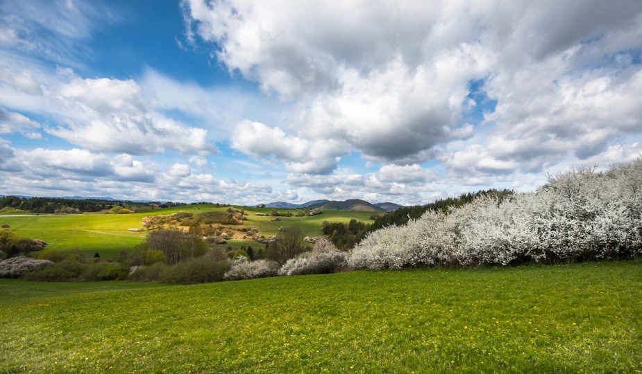 entdecken sie die bedeutung von regionalität: erfahren sie, wie lokale produkte und traditionelle praktiken unsere gemeinschaften stärken und unsere umwelt schützen.