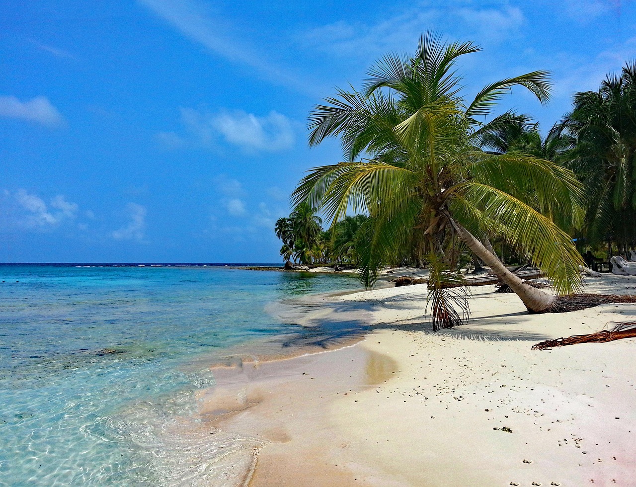 entdecken sie die schönheit und vielfalt panamas: ein land voller tropischer natur, pulsierender städte und reicher kultur. erleben sie das berühmte panama-kanal, traumhafte strände und unvergessliche abenteuer in einem der faszinierendsten reiseziele mittelamerikas.