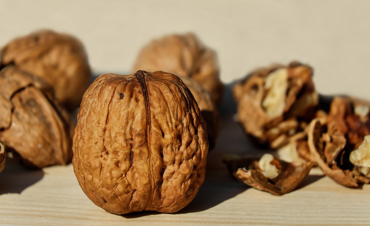 entdecken sie gesunde snacks, die nicht nur lecker sind, sondern auch nährstoffe liefern. perfekt für zwischendurch oder als ergänzung zu ihrer ernährung!