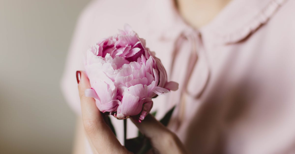 entdecken sie die neuesten trends und styles fĂŒr frauen. von mode ĂŒber schönheit bis hin zu lebensstil â alles, was moderne frauen inspiriert und beeindrucken wird.